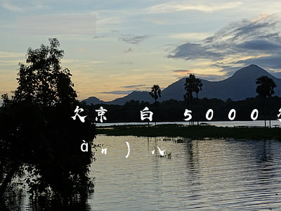 欠京東白條5000多(京東白條欠一萬(wàn)八)