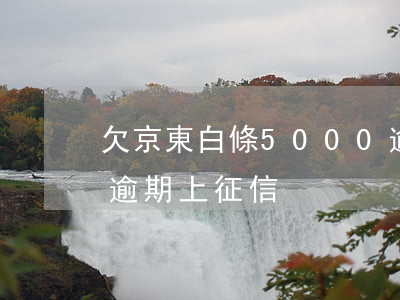 欠京東白條5000逾期上征信嗎(京東白條逾期 上征信)