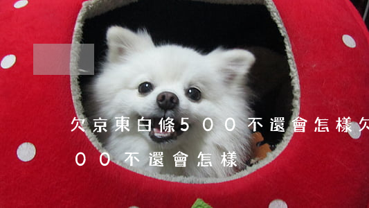 欠京東白條500不還會怎樣(欠京東白條500不還會怎樣)