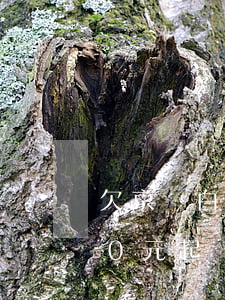 欠京東白條500元 起訴嗎(欠京東白條500元 起訴嗎)