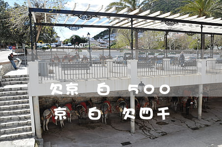 欠京東白條500塊錢會(huì)上門嗎(京東白條欠四千塊錢會(huì)上門嗎)