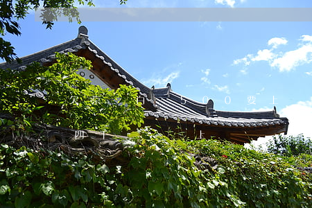 欠京東白條500要上門怎么辦(京東白條欠四千塊錢會上門嗎)