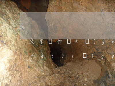 欠京東白條5個(gè)月(京東白條欠費(fèi)1個(gè)月)