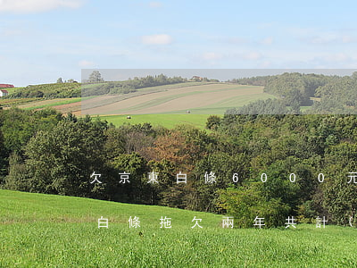 欠京東白條6000元6個(gè)月(京東白條拖欠兩年共計(jì)2500元沒還怎么處理)