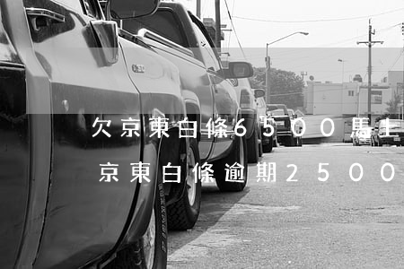 欠京東白條6500馬上3個(gè)月了(京東白條逾期2500)