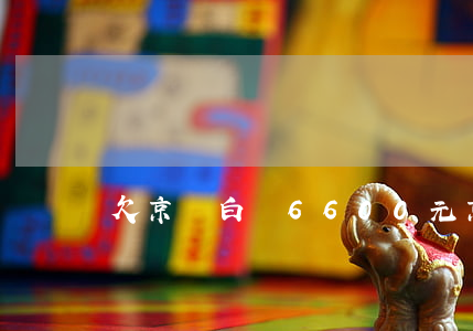 欠京東白條6600元(京東白條欠了一千多)