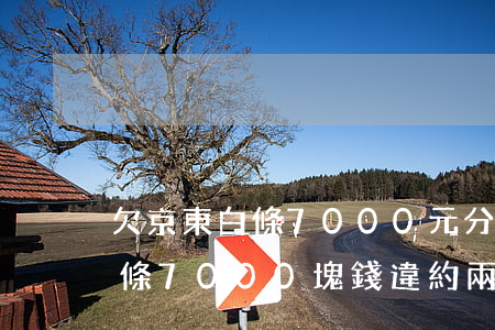 欠京東白條7000元分期逾期了(欠京東白條7000塊錢違約兩個月會被起訴嗎?)