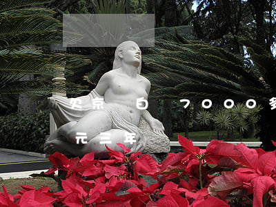 欠京東白條7000多(欠京東白條6000元三年)