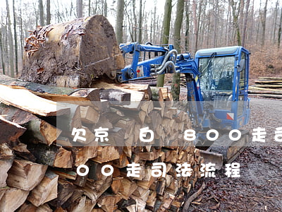 欠京東白條800走司法流程(欠京東白條800走司法流程)