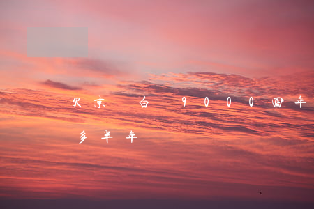 欠京東白條9000四年(京東白條欠500多半年)
