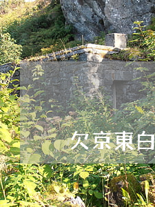 欠京東白條二萬(京東白條欠了一千多)