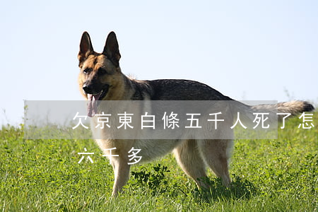 欠京東白條五千人死了怎么辦(我欠京東白條六千多)