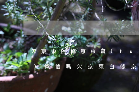 欠京東白條京東會(huì)凍結(jié)微信嗎(欠京東白條京東會(huì)凍結(jié)微信嗎)