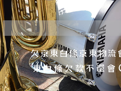 欠京東白條京東物流會(huì)上門嗎(京東白條欠款不還會(huì)不會(huì)上門催收)