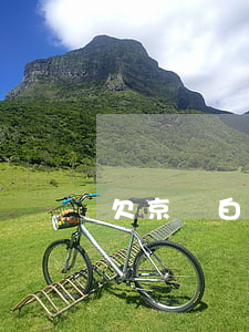 欠京東白條兩個月了礙事嘛