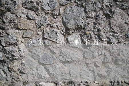 欠京東白條剩余五百(京東白條欠一萬八)