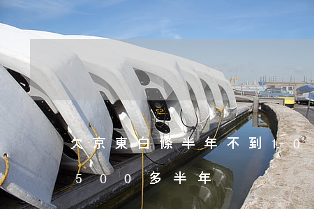 欠京東白條半年不到1000元(京東白條欠500多半年)