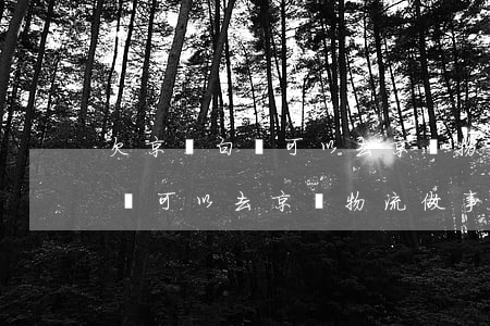 欠京東白條可以去京東物流做事-欠京東白條可以去京東物流做事嗎安全嗎