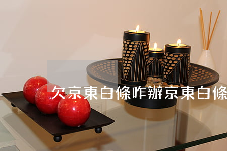 欠京東白條咋辦(京東白條欠了一萬多怎么辦)