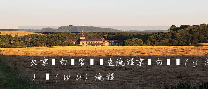 欠京東白條客戶說走流程(京東白條業(yè)務(wù)流程)