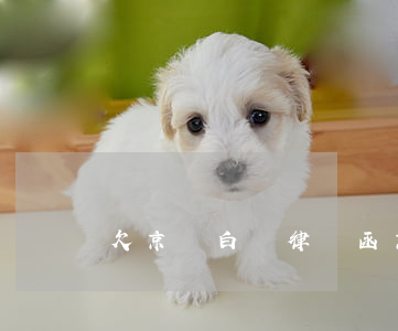 欠京東白條律師函(京東白條的律師函)