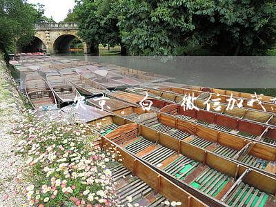 欠京東白條微信加我(京東白條可以欠)