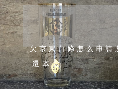 欠京東白條怎么申請還本金(京東白條欠款只還本金)