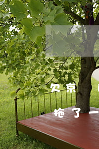 欠京東白條拖了一個月可以申請(欠京東白條拖了一個月可以申請)