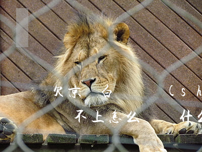 欠京東白條暫時(shí)沒(méi)錢還不上怎么辦(為什么沒(méi)有用京東白條卻欠了錢)