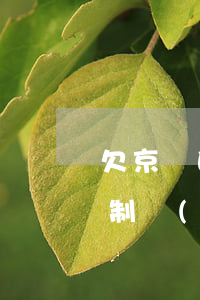 欠京東白條會(huì)強(qiáng)制執(zhí)行嗎(京東白條逾期失信被執(zhí)行)