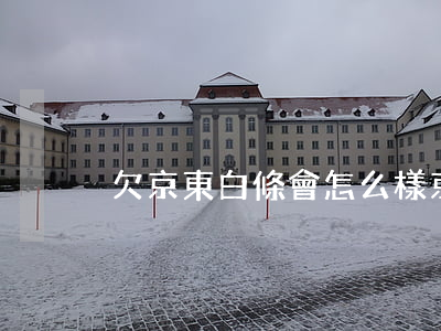 欠京東白條會怎么樣(京東白條欠錢)