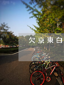 欠京東白條會被納入失信人嗎