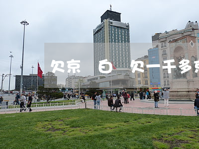 欠京東白條欠一千多(京東白條欠了一千多)