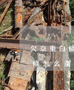 欠京東白條沒還會(huì)怎樣(欠京東白條怎么還)