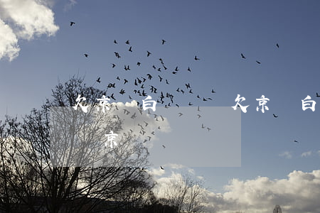 欠京東白條沒還(欠京東白條沒還上還能借中銀京東貸嗎)