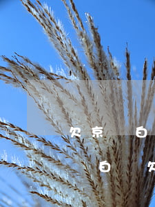欠京東白條準(zhǔn)備三倍違約金(京東白條欠了幾百塊錢了違約1個(gè)月了還沒(méi)換)