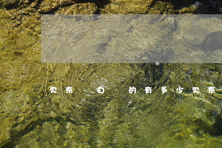 欠京東白條的有多少(欠京東白條的有多少)