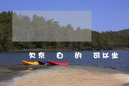欠京東白條的錢可以坐動(dòng)車嗎