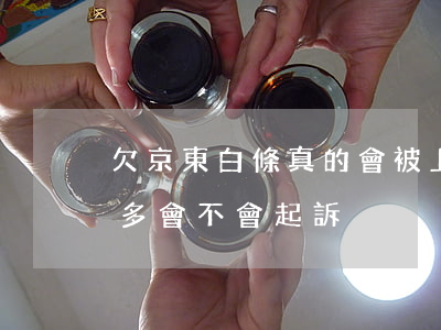 欠京東白條真的會被上訴嗎(京東白條欠一千多會不會起訴)