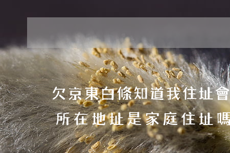 欠京東白條知道我住址會不會來(京東白條的所在地址是家庭住址嗎)