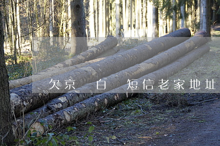 欠京東白條短信老家地址(京東白條欠錢)
