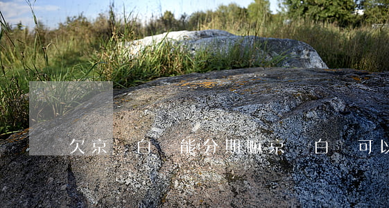 欠京東白條能分期嘛(京東白條可以分期還嗎?)