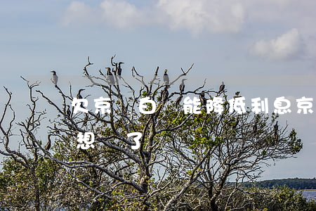 欠京東白條能降低利息(京東白條利息太高不想還了)