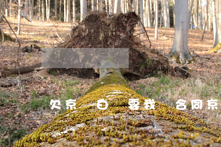 欠京東白條要我簽合同(京東白條說我欠款)