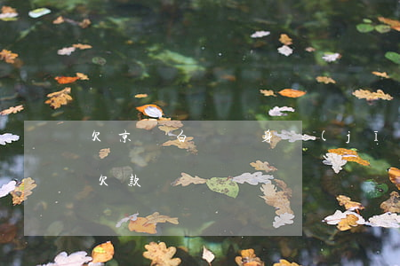 欠京東白條親身經(jīng)歷(京東白條 欠款)