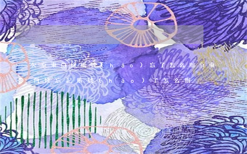 欠京東白條賬號(hào)忘了怎么辦(京東白條忘記賬號(hào)了怎么辦)