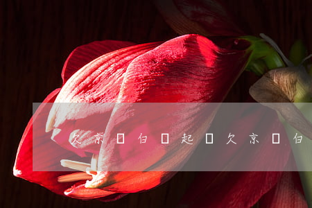 欠京東白條起訴(欠京東白條起訴前會拘留嗎)