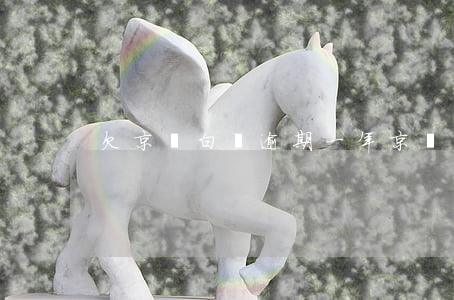 欠京東白條逾期一年(京東白條欠款逾期多久)