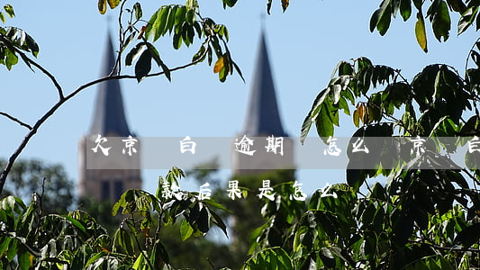 欠京東白條逾期會怎么樣(京東白條嚴重逾期沒還款后果是怎么樣)