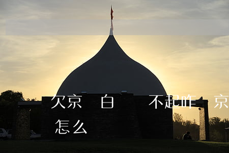 欠京東白條還不起咋辦(京東白條實在還不起怎么辦)